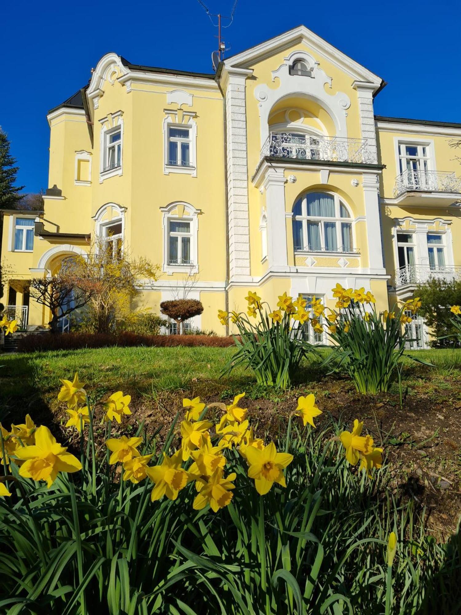 Villa Sonnenstrahl Marianske Lazne Exterior photo